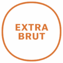 Extra-brut@10x